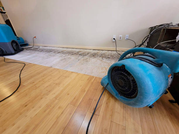 Professional Structural Drying technician working in Burgoon, OH